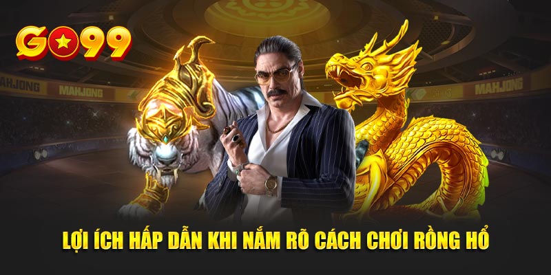 Lợi ích hấp dẫn khi nắm rõ cách chơi rồng hổ